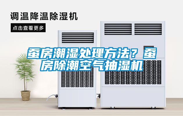 蠶房潮濕處理方法？蠶房除潮空氣抽濕機