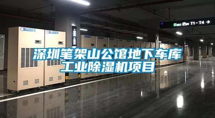 深圳筆架山公館地下車(chē)庫(kù)工業(yè)除濕機(jī)項(xiàng)目