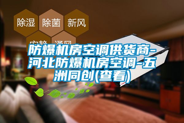 防爆機房空調(diào)供貨商-河北防爆機房空調(diào)-五洲同創(chuàng)(查看)