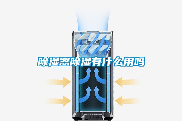 除濕器除濕有什么用嗎