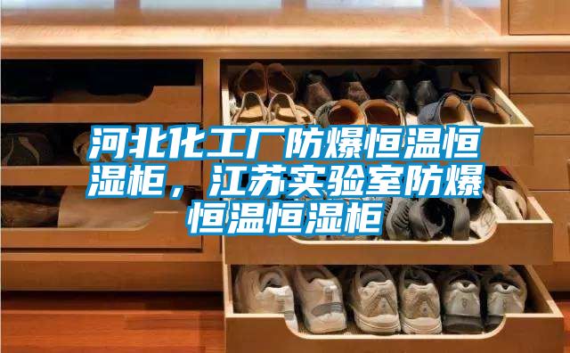 河北化工廠防爆恒溫恒濕柜，江蘇實驗室防爆恒溫恒濕柜