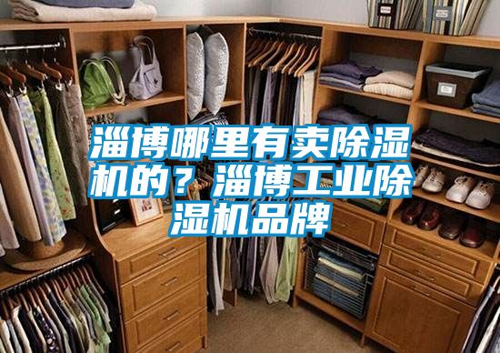淄博哪里有賣(mài)除濕機(jī)的？淄博工業(yè)除濕機(jī)品牌