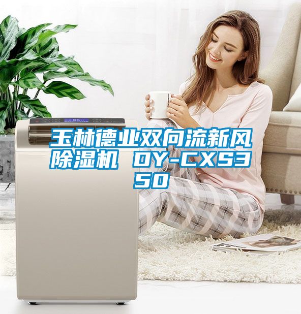 玉林德業(yè)雙向流新風除濕機 DY-CXS350