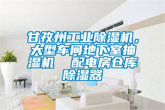 甘孜州工業(yè)除濕機(jī)，大型車間地下室抽濕機(jī)  配電房倉庫除濕器