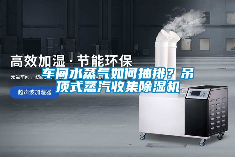 車間水蒸氣如何抽排？吊頂式蒸汽收集除濕機(jī)