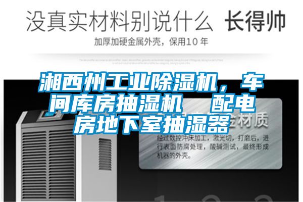 湘西州工業(yè)除濕機(jī)，車間庫房抽濕機(jī)  配電房地下室抽濕器