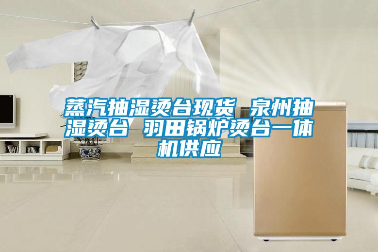 蒸汽抽濕燙臺現(xiàn)貨 泉州抽濕燙臺 羽田鍋爐燙臺一體機供應(yīng)
