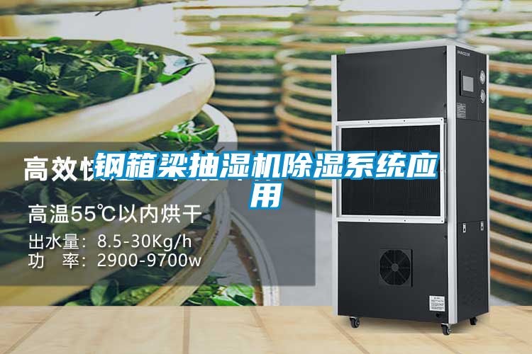 鋼箱梁抽濕機除濕系統(tǒng)應(yīng)用