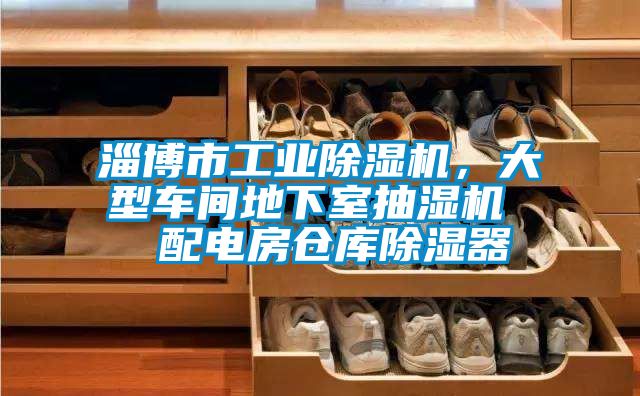 淄博市工業(yè)除濕機，大型車間地下室抽濕機  配電房倉庫除濕器
