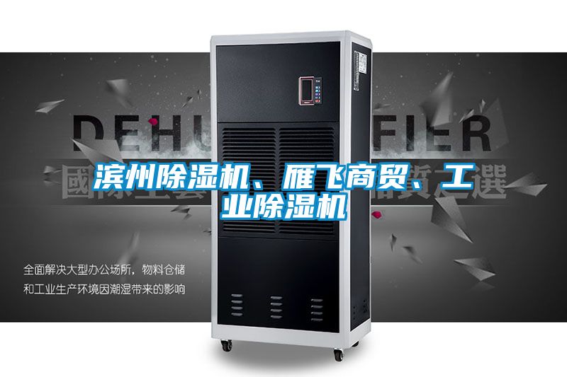 濱州除濕機(jī)、雁飛商貿(mào)、工業(yè)除濕機(jī)