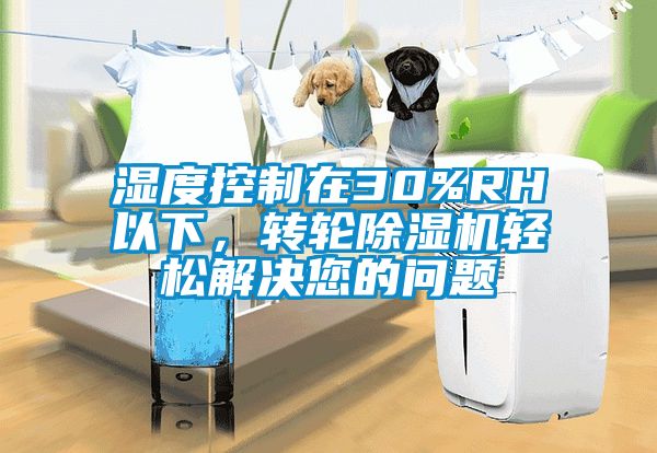 濕度控制在30%RH以下,轉(zhuǎn)輪除濕機輕松解決您的問題