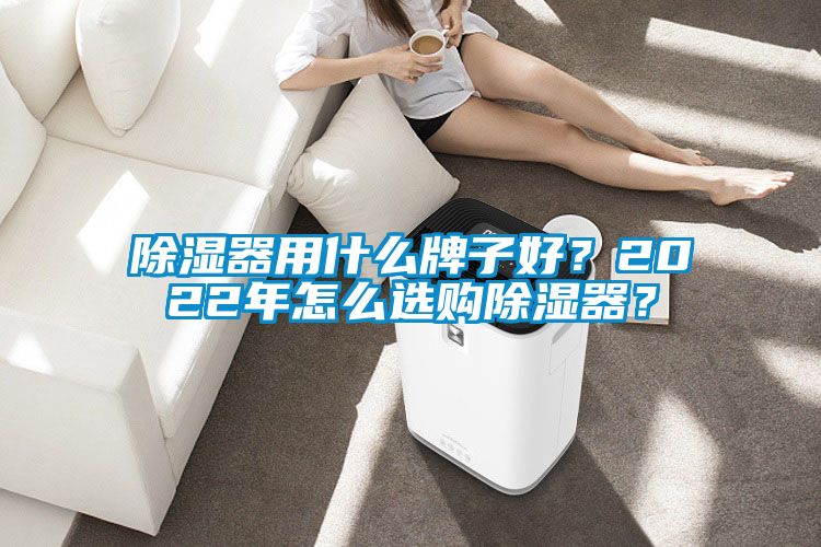 除濕器用什么牌子好？2022年怎么選購除濕器？