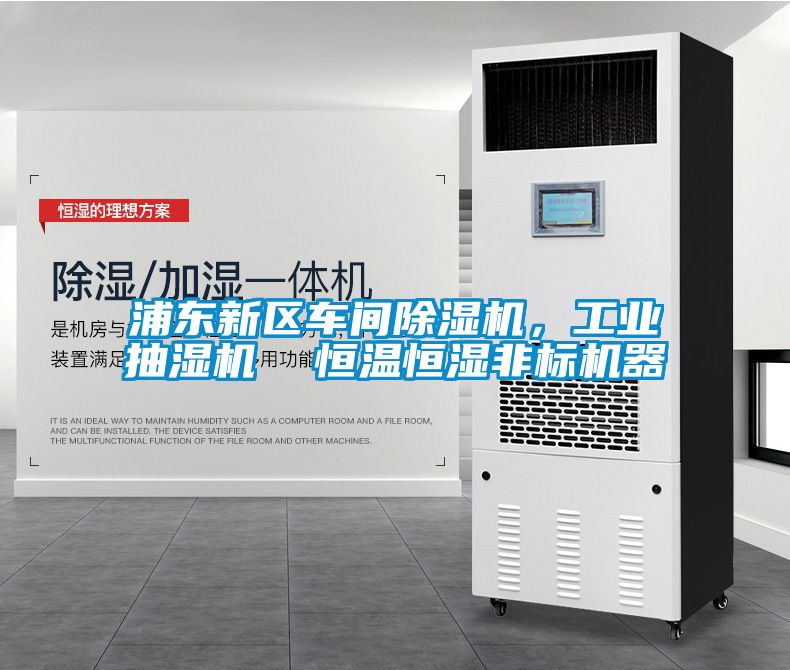 浦東新區(qū)車(chē)間除濕機(jī)，工業(yè)抽濕機(jī)  恒溫恒濕非標(biāo)機(jī)器