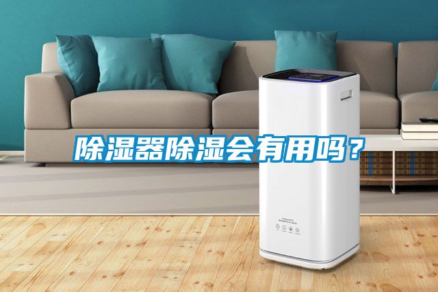 除濕器除濕會有用嗎?