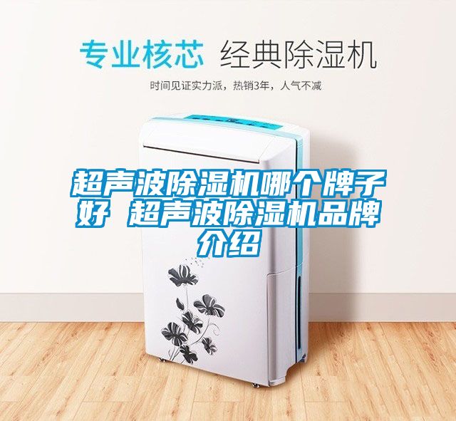 超聲波除濕機(jī)哪個牌子好 超聲波除濕機(jī)品牌介紹