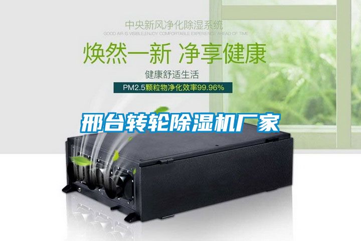 邢臺轉(zhuǎn)輪除濕機廠家