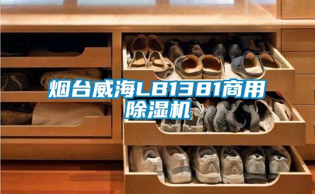 煙臺威海LB1381商用除濕機(jī)