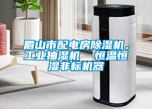 眉山市配電房除濕機，工業(yè)抽濕機  恒溫恒濕非標機器
