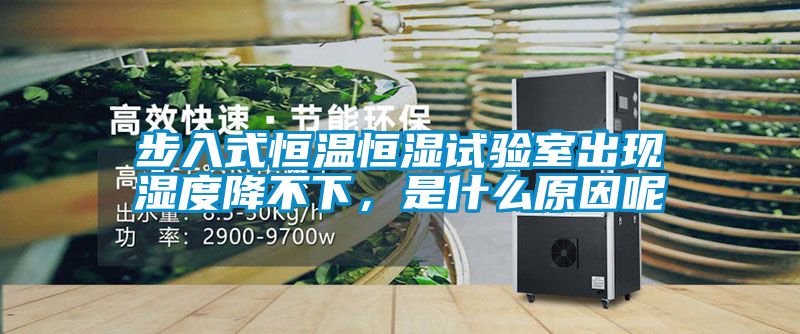 步入式恒溫恒濕試驗(yàn)室出現(xiàn)濕度降不下，是什么原因呢