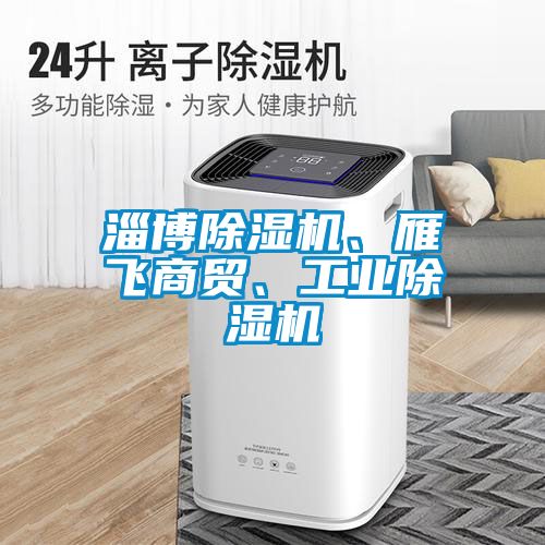 淄博除濕機(jī)、雁飛商貿(mào)、工業(yè)除濕機(jī)