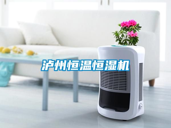 瀘州恒溫恒濕機(jī)