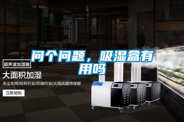 問(wèn)個(gè)問(wèn)題，吸濕盒有用嗎