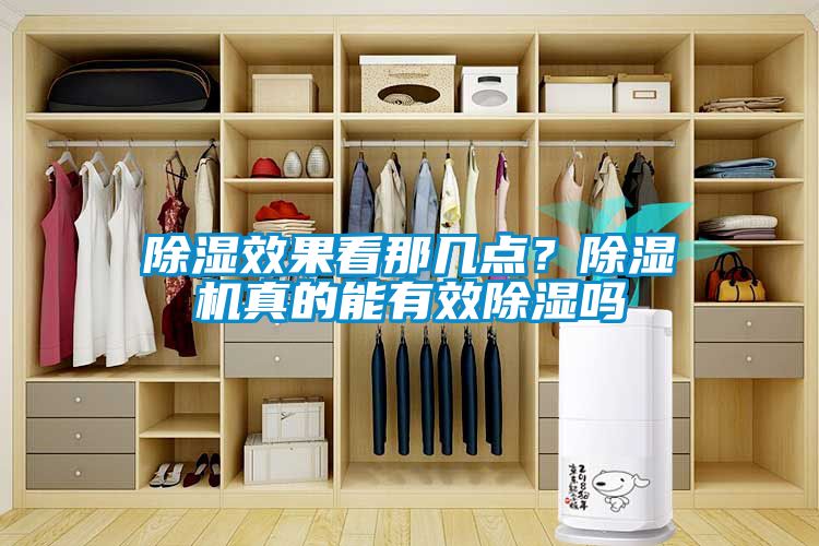 除濕效果看那幾點？除濕機真的能有效除濕嗎