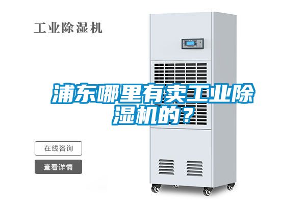 浦東哪里有賣(mài)工業(yè)除濕機(jī)的？