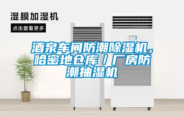 酒泉車間防潮除濕機，哈密地倉庫／廠房防潮抽濕機