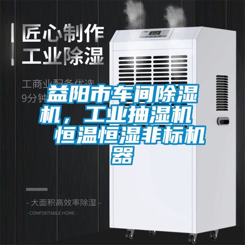 益陽市車間除濕機，工業(yè)抽濕機  恒溫恒濕非標機器