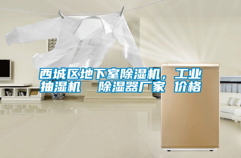 西城區(qū)地下室除濕機(jī)，工業(yè)抽濕機(jī)  除濕器廠家 價格
