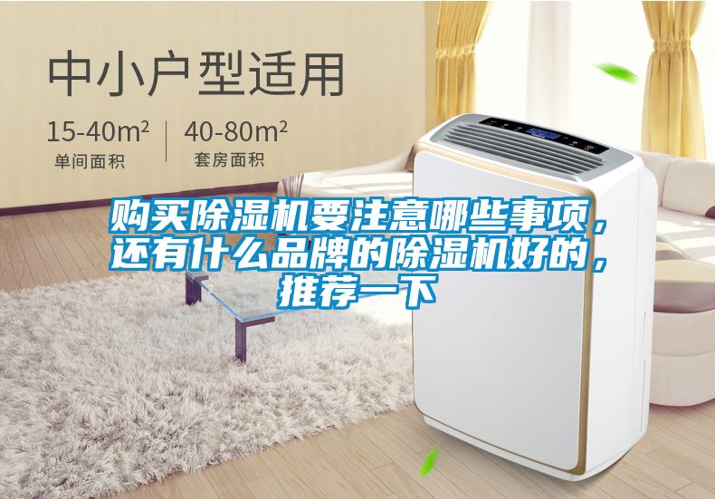 購(gòu)買(mǎi)除濕機(jī)要注意哪些事項(xiàng)，還有什么品牌的除濕機(jī)好的，推薦一下