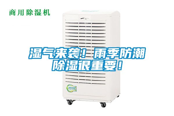 濕氣來襲！雨季防潮除濕很重要！