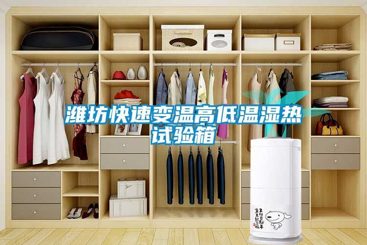 濰坊快速變溫高低溫濕熱試驗(yàn)箱