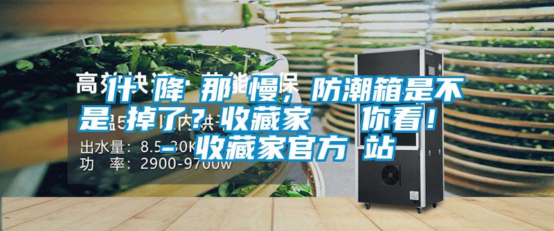 為什麼降濕那麼慢，防潮箱是不是壞掉了？收藏家實測給你看！ - 收藏家官方網(wǎng)站