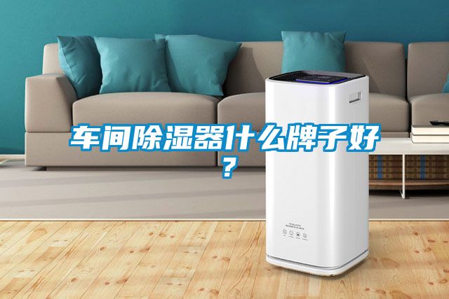 車間除濕器什么牌子好？