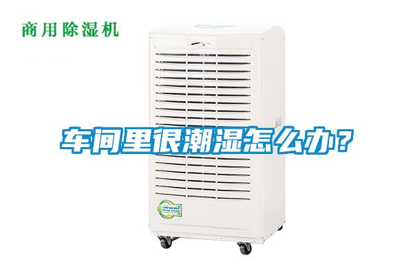 車間里很潮濕怎么辦？