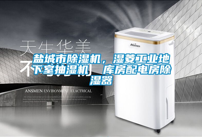 鹽城市除濕機，濕菱工業(yè)地下室抽濕機  庫房配電房除濕器
