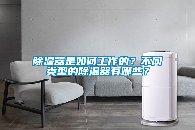 除濕器是如何工作的？不同類型的除濕器有哪些？