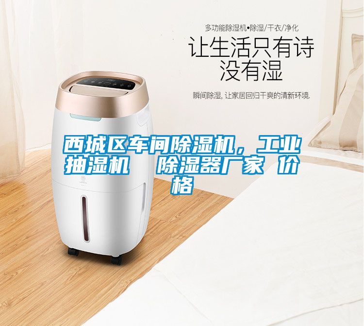 西城區(qū)車間除濕機，工業(yè)抽濕機  除濕器廠家 價格