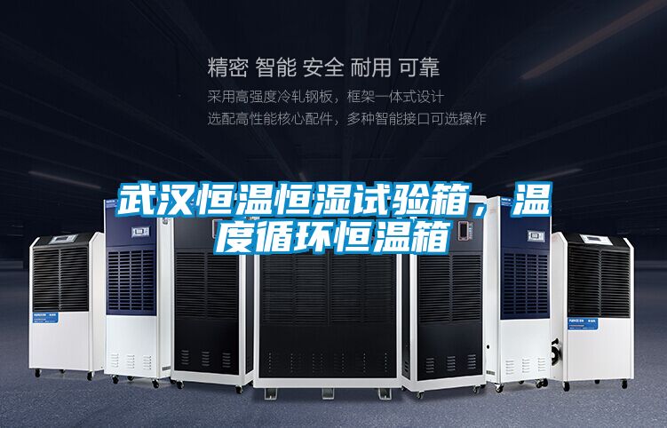 武漢恒溫恒濕試驗箱，溫度循環(huán)恒溫箱