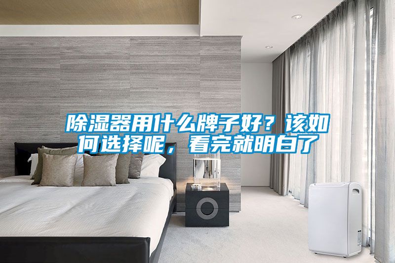 除濕器用什么牌子好？該如何選擇呢，看完就明白了