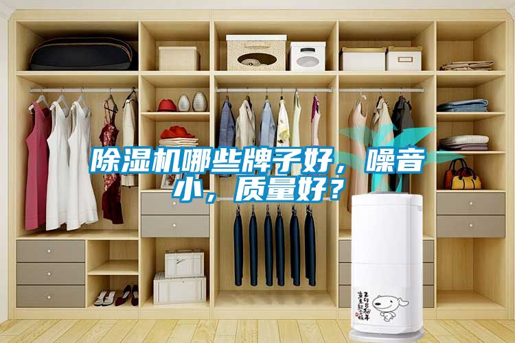 除濕機(jī)哪些牌子好，噪音小，質(zhì)量好？