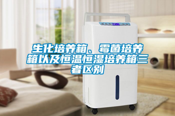 生化培養(yǎng)箱、霉菌培養(yǎng)箱以及恒溫恒濕培養(yǎng)箱三者區(qū)別