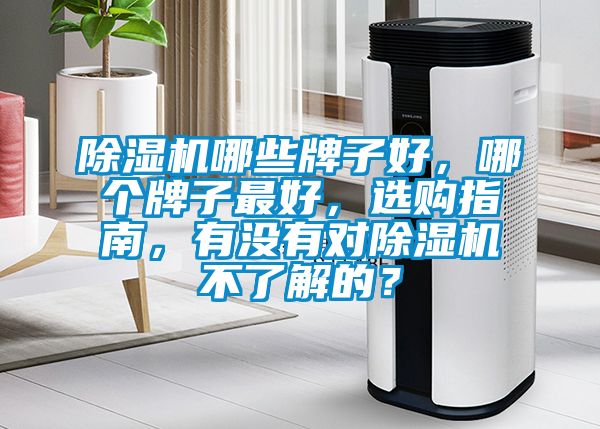 除濕機(jī)哪些牌子好，哪個(gè)牌子最好，選購(gòu)指南，有沒(méi)有對(duì)除濕機(jī)不了解的？