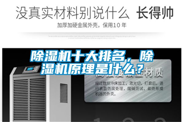 除濕機(jī)十大排名，除濕機(jī)原理是什么？