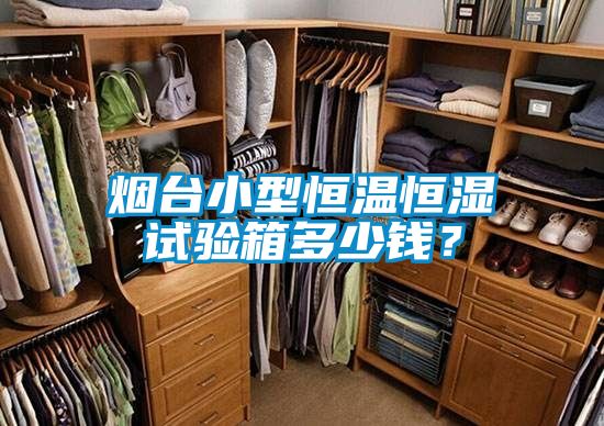 煙臺(tái)小型恒溫恒濕試驗(yàn)箱多少錢？
