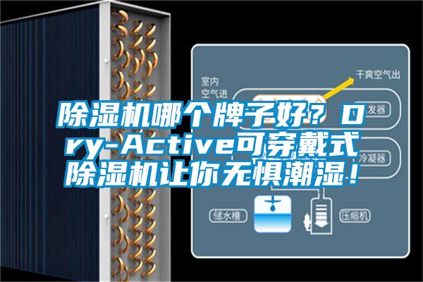 除濕機(jī)哪個(gè)牌子好？Dry-Active可穿戴式除濕機(jī)讓你無懼潮濕！