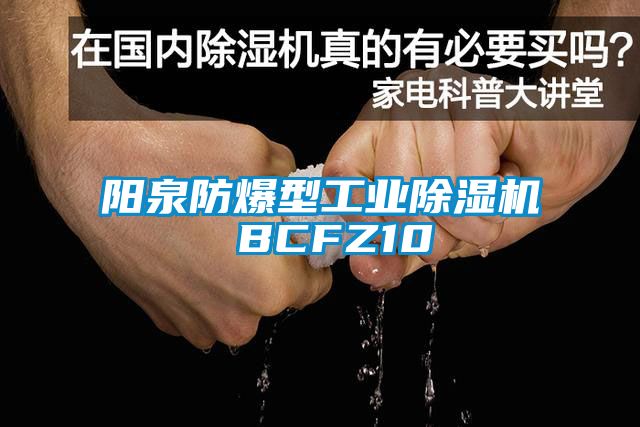 陽(yáng)泉防爆型工業(yè)除濕機(jī) BCFZ10