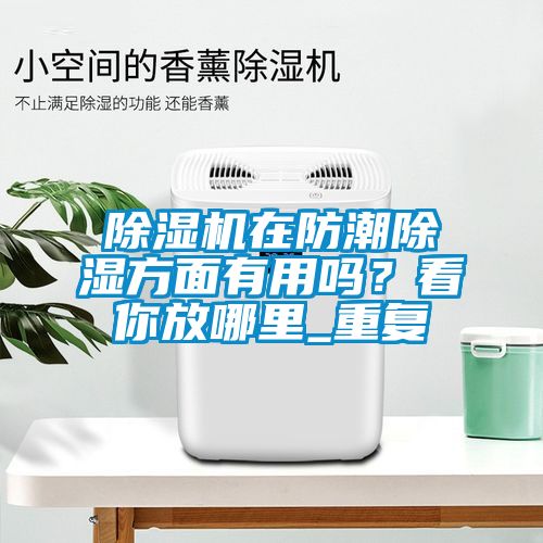 除濕機(jī)在防潮除濕方面有用嗎？看你放哪里_重復(fù)